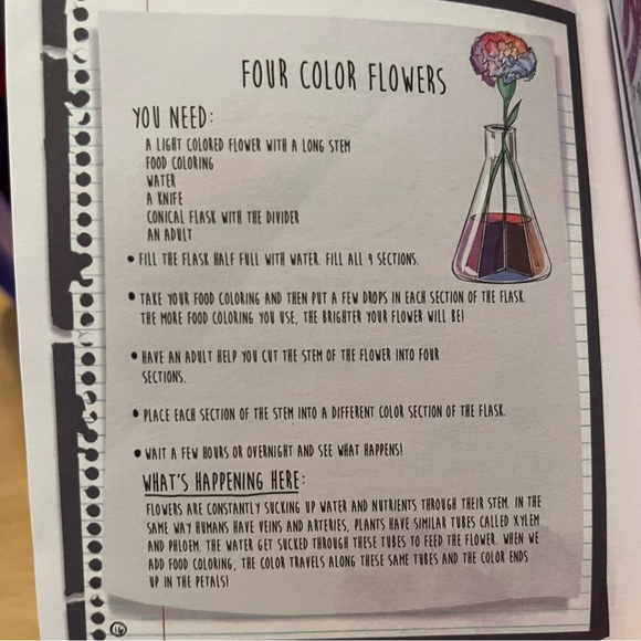 Complete Rare PURPLE Ultimate Lab Kit from Project MC2 Contains all Accessories - Picture 10 of 12